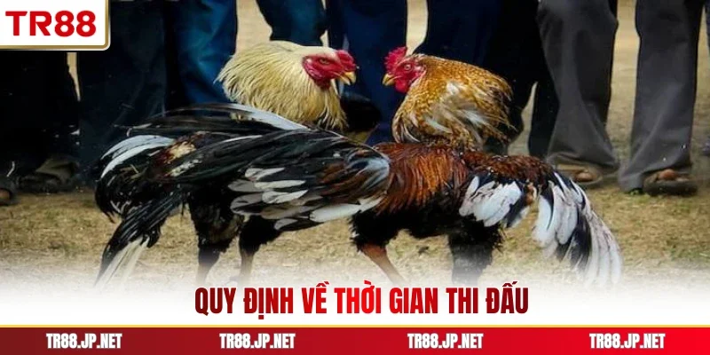 Quy định về thời gian thi đấu